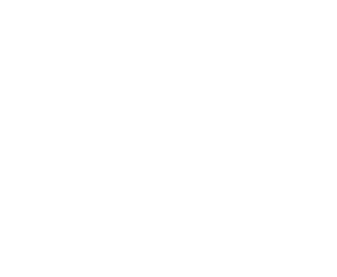 DFW Dental Fräswerk AG